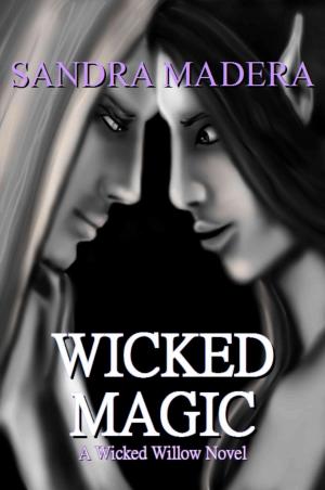 Cover of the book Wicked Magic by Sherry Peters