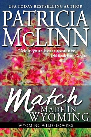 Book cover of Match Made in Wyoming (Wyoming Wildflowers series)
