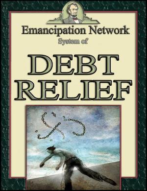 Cover of the book System of Debt Relief by Deren Hansen