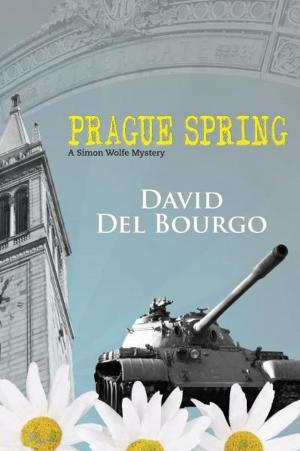 Cover of the book Praque Spring by D.C. White