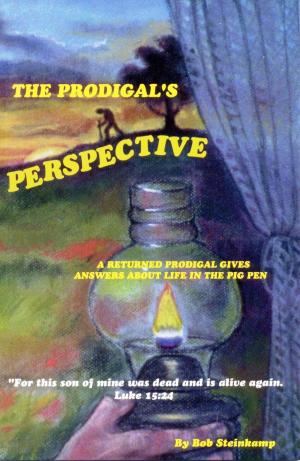 Cover of the book The Prodigal's Perspective by Bob Steinkamp