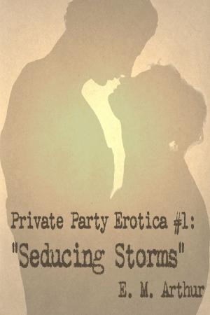 Cover of the book Private Party Erotica # 1: Seducing Storms by B. F. Goodrich
