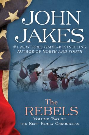 Cover of the book The Rebels by Brian Briscoe