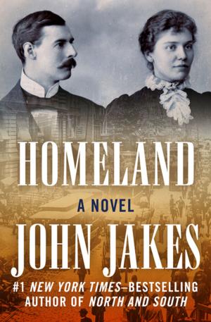 Cover of the book Homeland by Dietrich Geschke