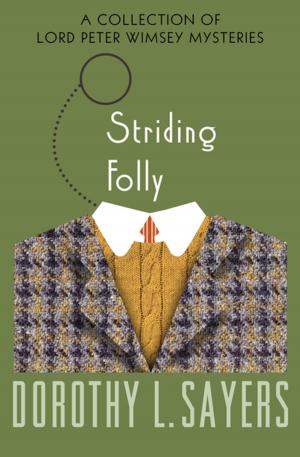 Cover of the book Striding Folly by ArLynn Leiber Presser