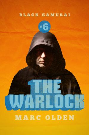 Cover of the book The Warlock by S. L. Stoner