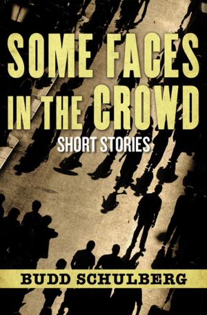 Cover of the book Some Faces in the Crowd by May Sarton