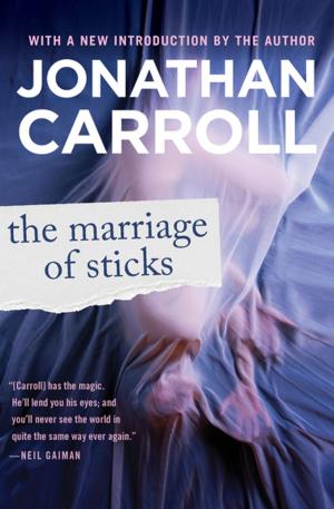 Cover of the book The Marriage of Sticks by Nancy Springer