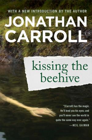 Book cover of Kissing the Beehive