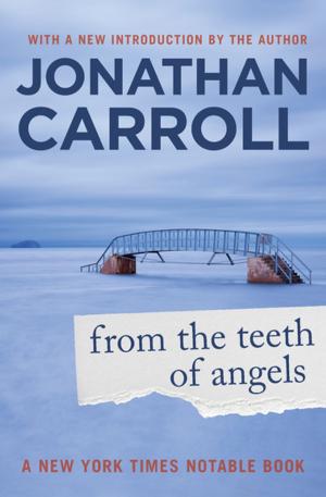 bigCover of the book From the Teeth of Angels by 