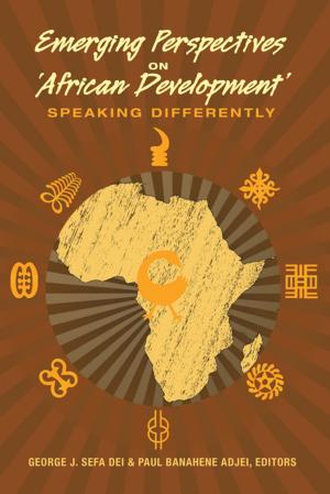 Cover of the book Emerging Perspectives on African Development by Martina Oehri