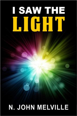 Cover of the book I Saw The Light by Ken Mask