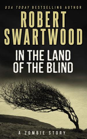 Cover of the book In the Land of the Blind (A Short Story) by Robert S. Tudor