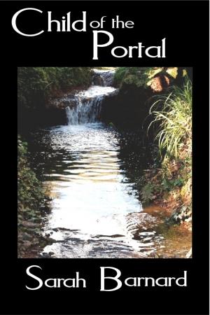 Book cover of Child of the Portal