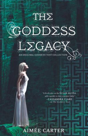 Cover of the book The Goddess Legacy by Steven A Tolle