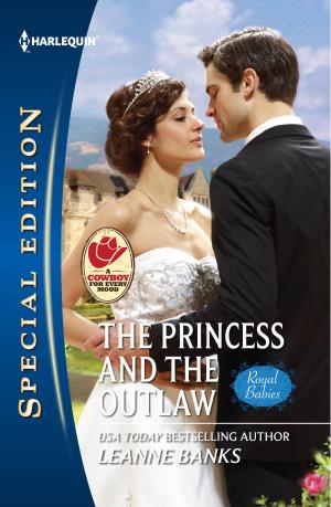 Cover of the book The Princess and the Outlaw by Kathryn Taylor
