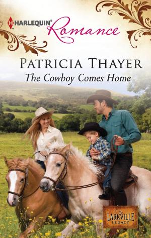 Cover of the book The Cowboy Comes Home by Mary Brendan