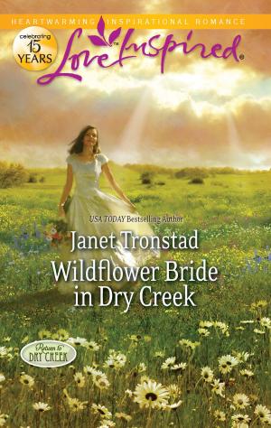 Cover of the book Wildflower Bride in Dry Creek by Jenni Fletcher