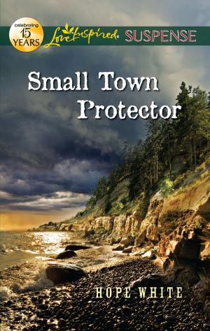 Cover of the book Small Town Protector by Virna DePaul, Elizabeth Heiter, Rebecca York