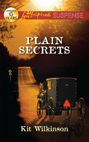 Cover of the book Plain Secrets by Elaine Overton