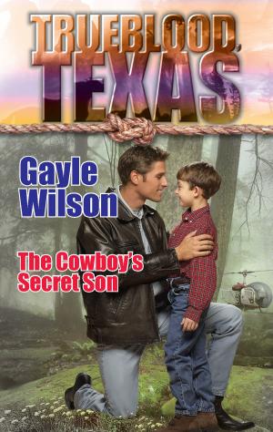 Cover of the book THE COWBOY'S SECRET SON by Linda May