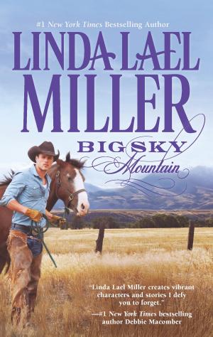 Cover of the book Big Sky Mountain by Delilah Marvelle