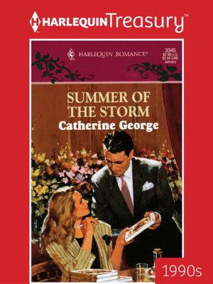 Cover of the book Summer of the Storm by Allison van Diepen