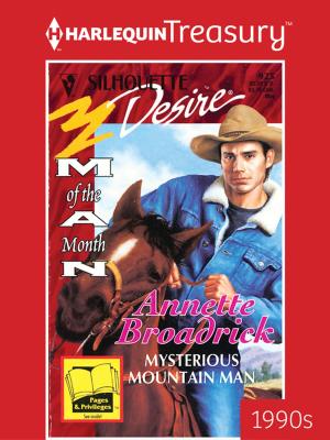 Cover of the book Mysterious Mountain Man by Monette Michaels