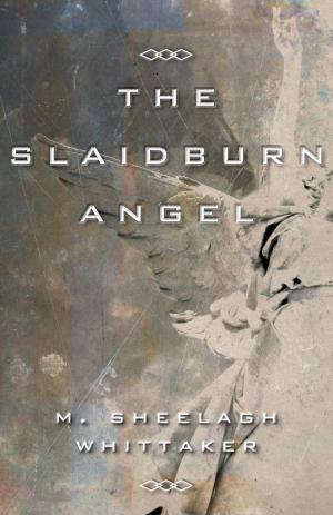Cover of the book The Slaidburn Angel by Mary Ann Scott