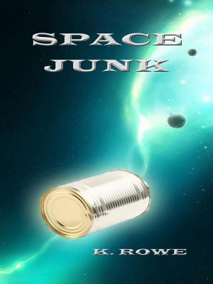 Cover of the book Space Junk by C. A. Zraik