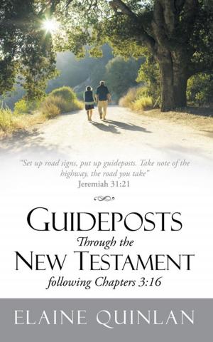 Cover of the book Guideposts Through the New Testament Following Chapters 3:16 by Lillie Johnson