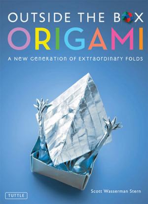 Cover of the book Outside the Box Origami by Samuel E. Martin, Eriko Sato