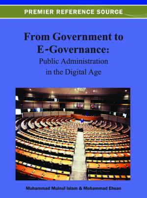 Cover of the book From Government to E-Governance by Jesus Enrique Portillo Pizana, Sergio Ortiz Valdes, Luis Miguel Beristain Hernandez