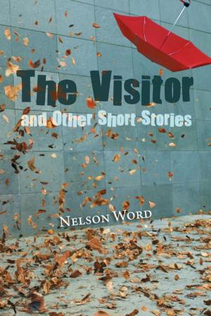 Cover of the book The Visitor and Other Short Stories by Lawrence Menard