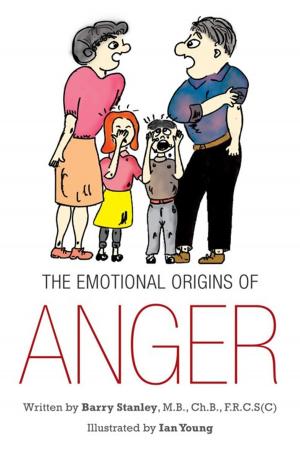 Cover of the book The Emotional Origins of Anger by S. J. Riccobono