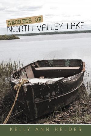 Cover of the book Secrets of North Valley Lake by Ronald Blandon