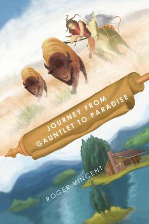 Cover of the book Journey from Gauntlet to Paradise by Rick Paulsen