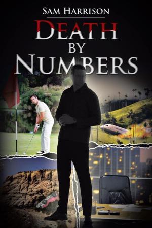 Cover of the book Death by Numbers by S.R. Burks