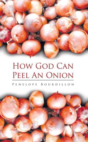 Cover of the book How God Can Peel an Onion by Monika Pistov?ák
