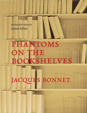 Cover of the book Phantoms on the Bookshelves by David Carnoy