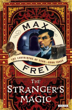 Cover of the book The Stranger's Magic by Jonathan Levi