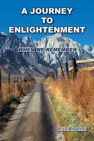 Cover of the book A Journey to Enlightenment by B.G. Webb