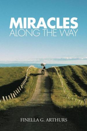 Cover of the book Miracles Along the Way by R. E. GARBER Jr.