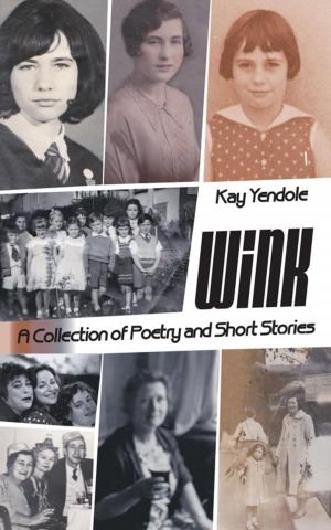 Cover of the book Wink by Haide S. Sanchez