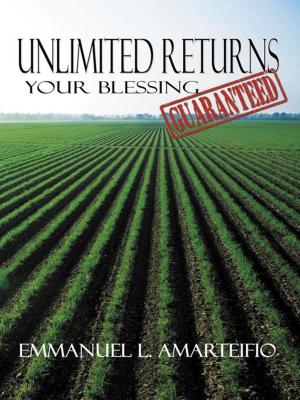 Cover of the book Unlimited Returns by Larry Brotherton