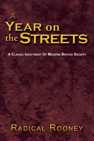 Cover of the book A Year on the Streets by Nicholas Timko Jr