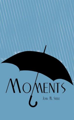 Cover of the book Moments by James E. Cox