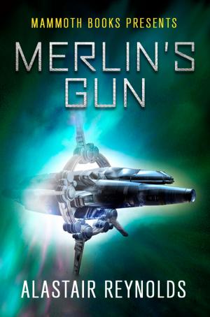 Book cover of Mammoth Books presents Merlin's Gun