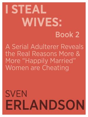 Book cover of I Steal Wives: Book 2