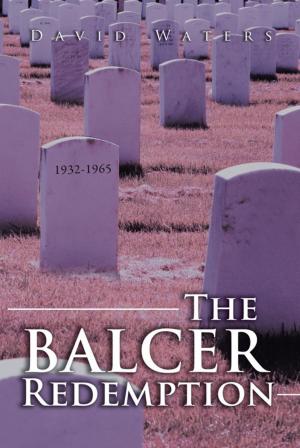 Book cover of The Balcer Redemption